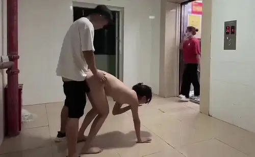 Poster of Đang chịch em trước sảnh thang máy thì gặp chị hàng xóm